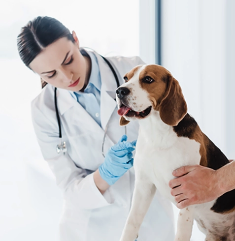 Eşrefpaşa Veteriner