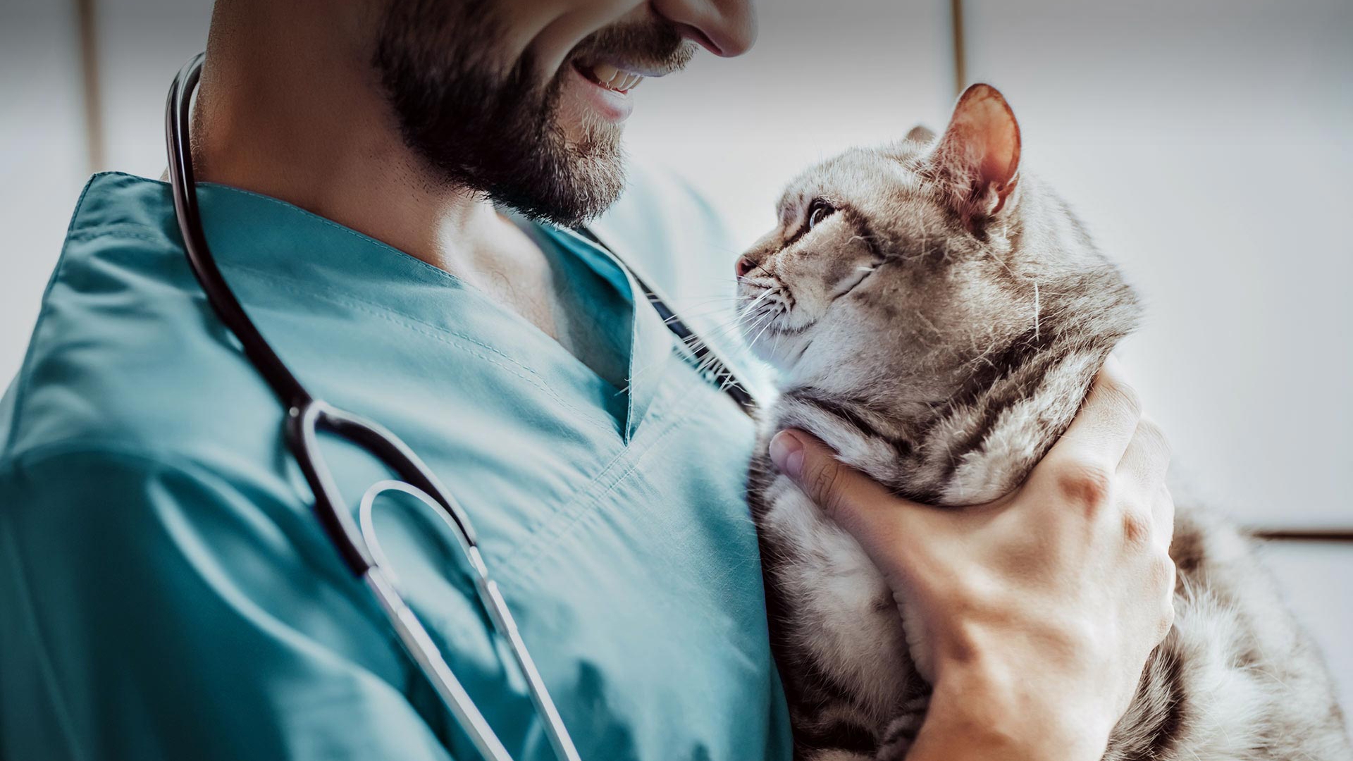 Eşrefpaşa Veteriner